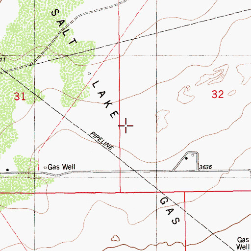 Topographic Map of South Salt Lake Gas Field, NM