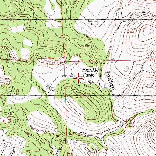 Topographic Map of Frankie Tank, NM