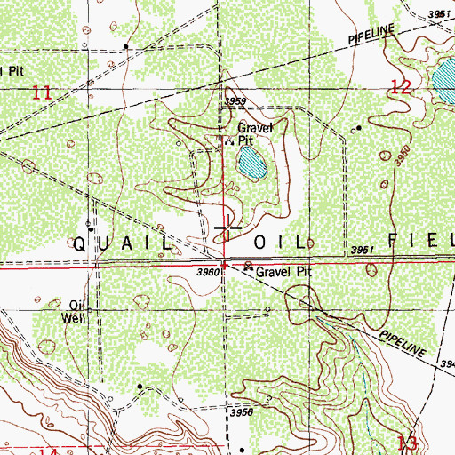 Topographic Map of Quail Oil Field, NM