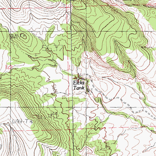 Topographic Map of Eicks Tank, NM