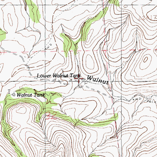 Topographic Map of Lower Walnut Tank, NM