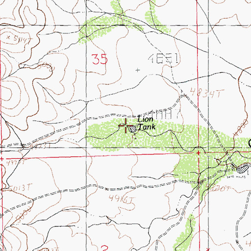 Topographic Map of Lion Tank, NM