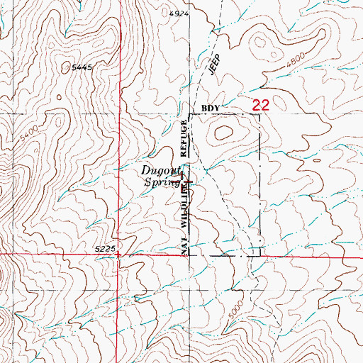 Topographic Map of Dugout Spring, NM