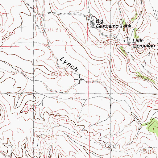 Topographic Map of Little Lynch Draw, NM