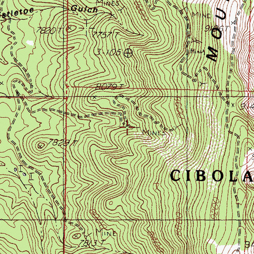 Topographic Map of Linchburg Tunnel, NM
