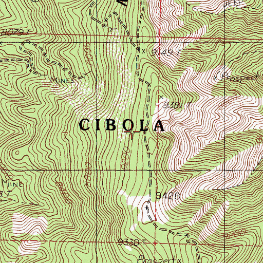 Topographic Map of Woodland Mine, NM