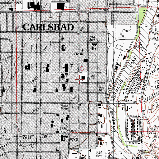 Topographic Map of New Mexico State University - Carlsbad Branch, NM