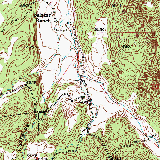 Topographic Map of Lower Caones, NM