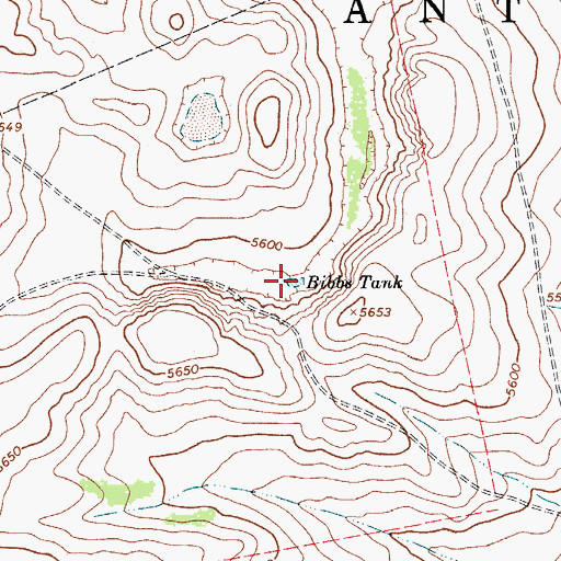 Topographic Map of Bibbs Tank, NM