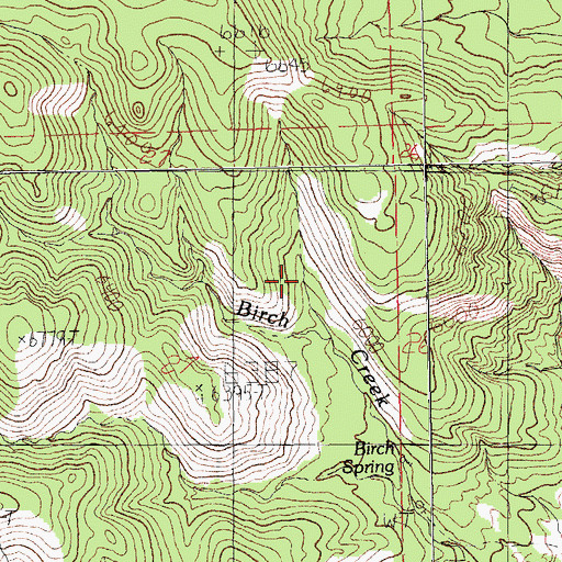 Topographic Map of Birch Spring, NM
