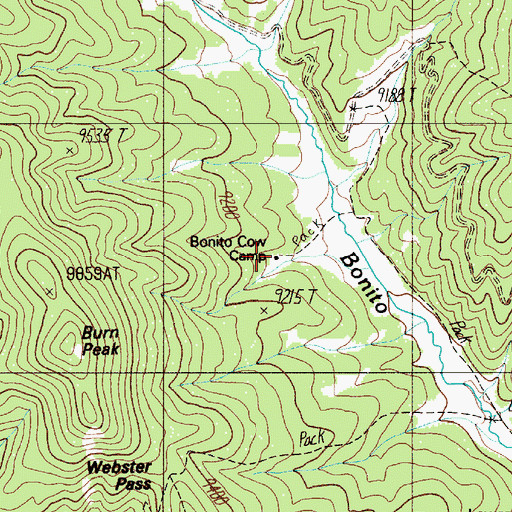 Topographic Map of Bonito Cow Camp, NM