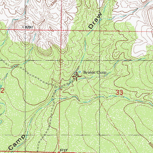 Topographic Map of Bruton Camp, NM