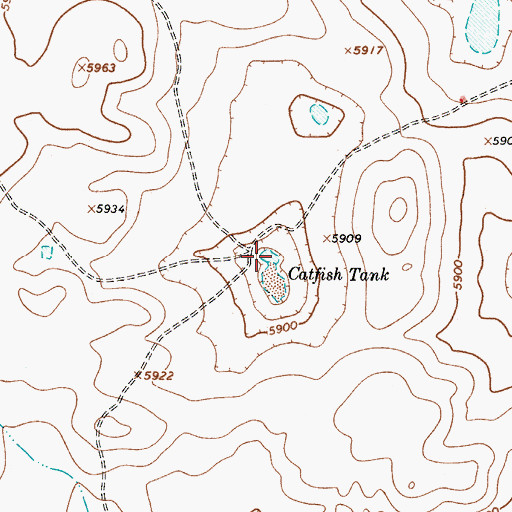 Topographic Map of Catfish Tank, NM