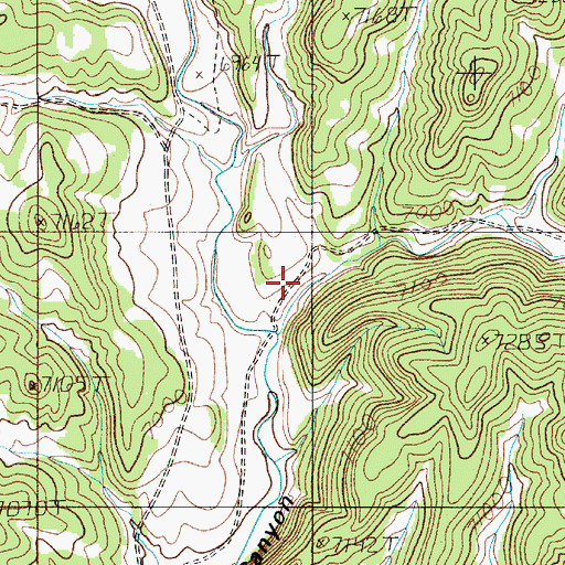 Topographic Map of Deadhorse Canyon, NM