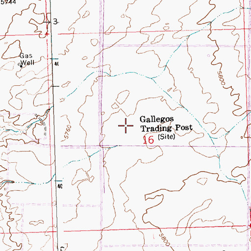 Topographic Map of Gallegos Trading Post, NM