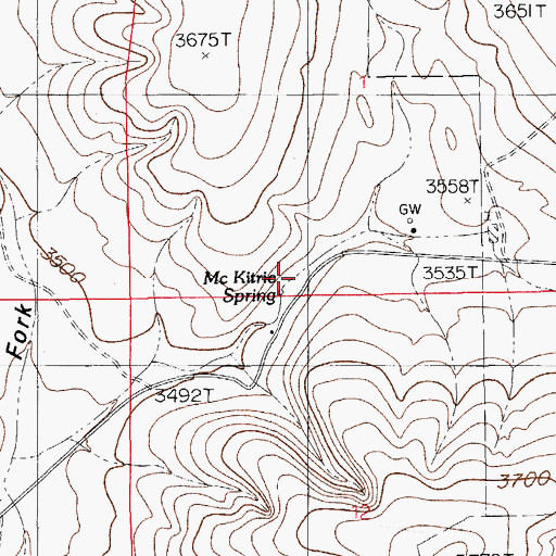 Topographic Map of Mc Kitric Spring, NM