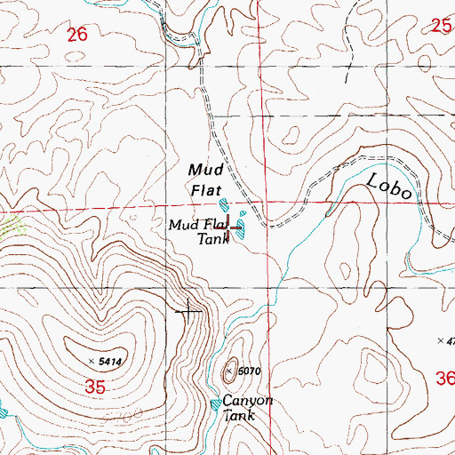 Topographic Map of Mud Flat Tank, NM