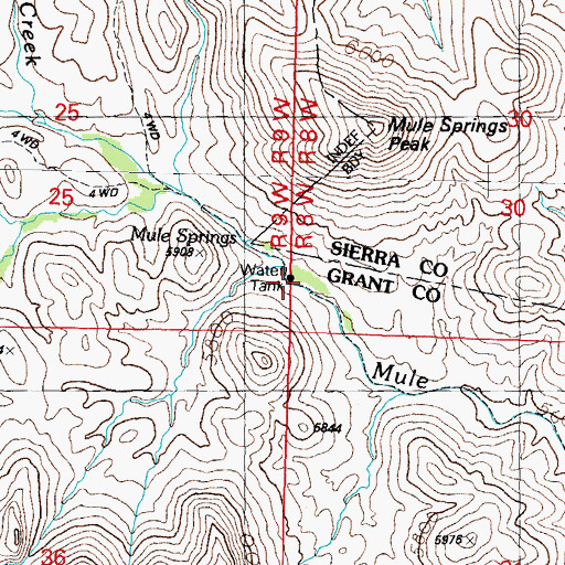 Topographic Map of Mule Springs, NM