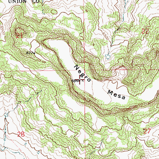 Topographic Map of Negro Mesa, NM