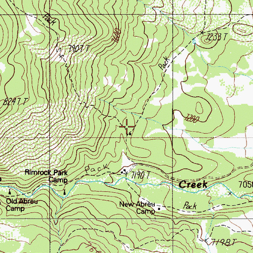 Topographic Map of New Abreu Camp, NM