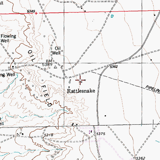 Topographic Map of Rattlesnake, NM