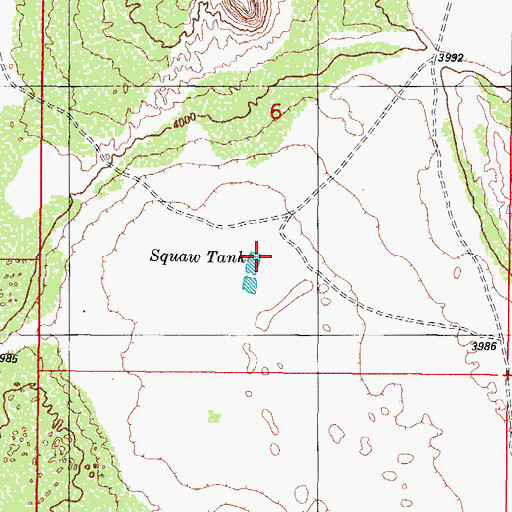 Topographic Map of Squaw Tank, NM