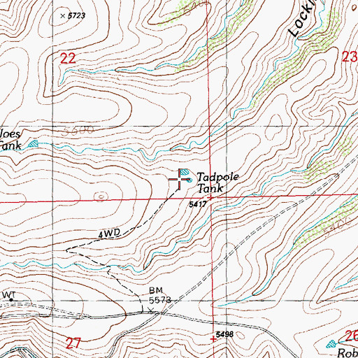Topographic Map of Tadpole Tank, NM
