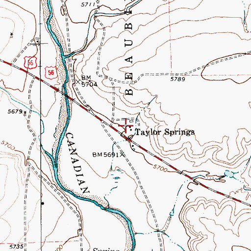 Topographic Map of Taylor Springs, NM