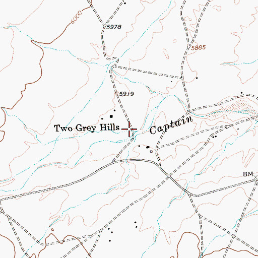 Topographic Map of Two Grey Hills, NM