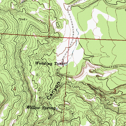 Topographic Map of Wedding Tank, NM