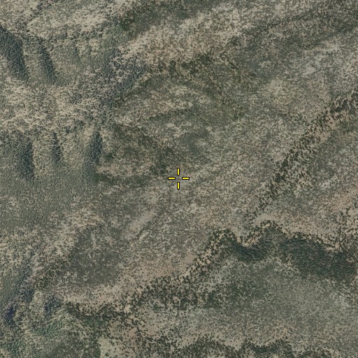 Aerial/Satellite Image of Foster Spring, NM
