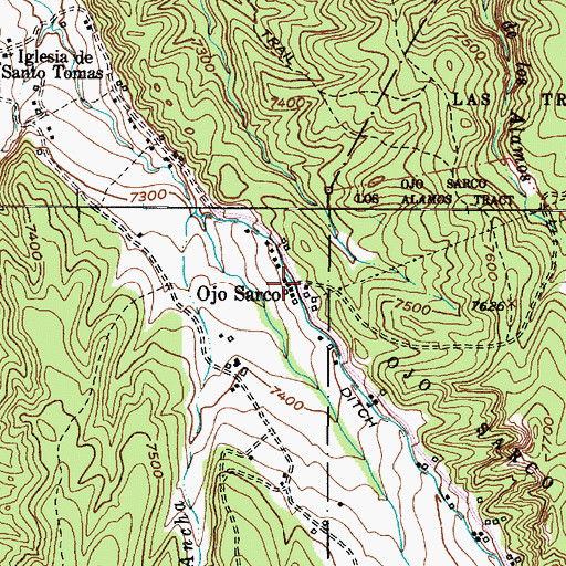Topographic Map of Saint Thomas Church, NM