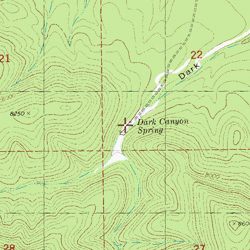 Topographic Map of Dark Canyon Spring, NM