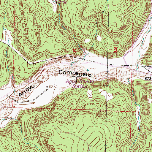 Topographic Map of Agua Bonito Spring, NM