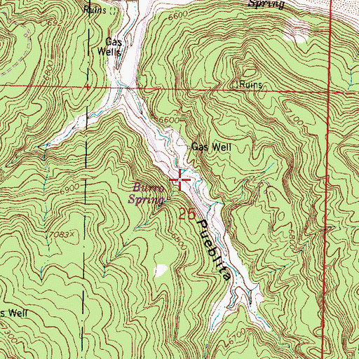 Topographic Map of Burro Spring, NM