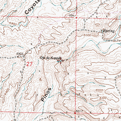 Topographic Map of Ojo De Amado, NM
