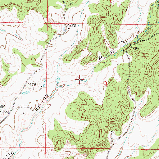 Topographic Map of R D Phillips Spring, NM