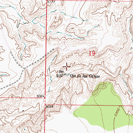 Topographic Map of Ojo de las Caas, NM