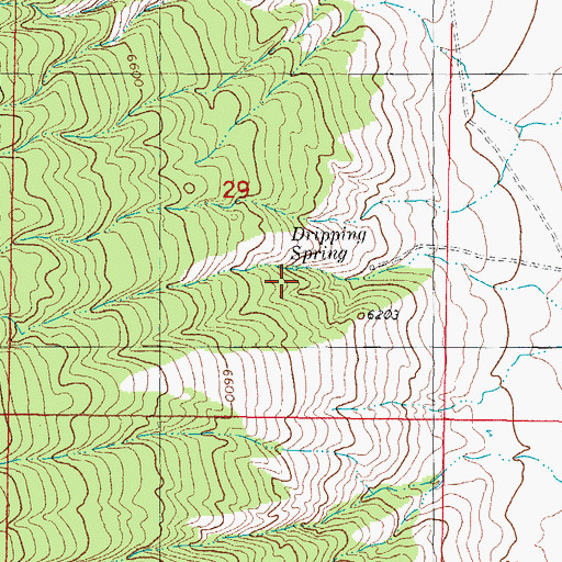 Topographic Map of Dripping Springs, NM