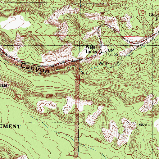 Topographic Map of Basalt Spring, NM