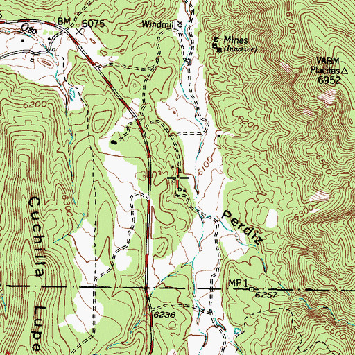 Topographic Map of Las Huertas, NM
