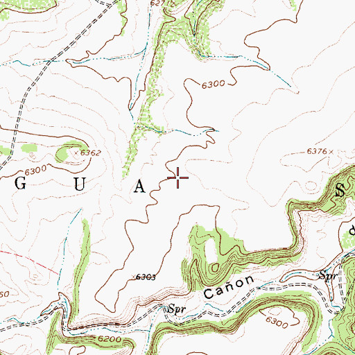 Topographic Map of Agua Salada Grant, NM