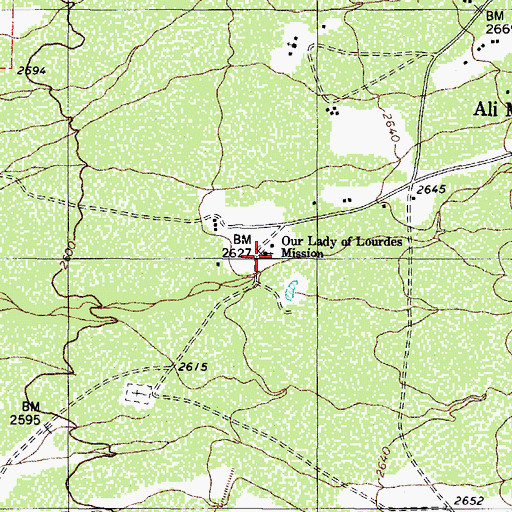 Topographic Map of Our Lady of Lourdes Mission, AZ