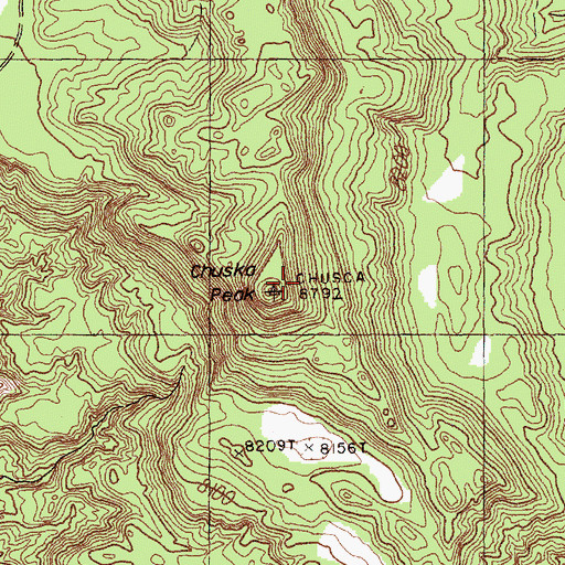 Topographic Map of Chuska Peak, NM
