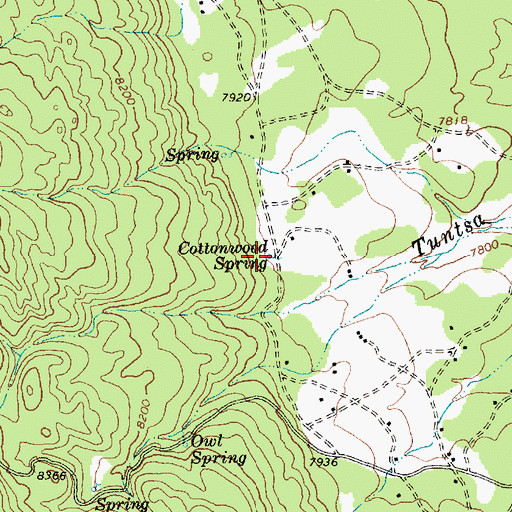 Topographic Map of Cottonwood Spring, NM