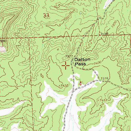Topographic Map of Dalton Pass, NM