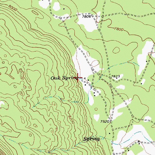 Topographic Map of Oak Spring, NM