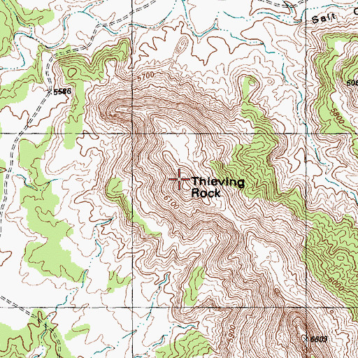 Topographic Map of Thieving Rock, NM