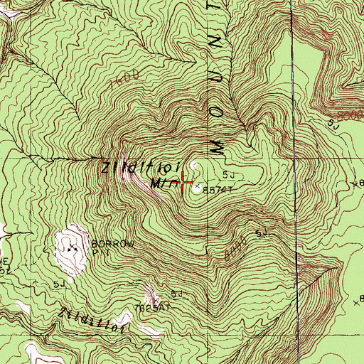 Topographic Map of Zilditloi Mountain, NM