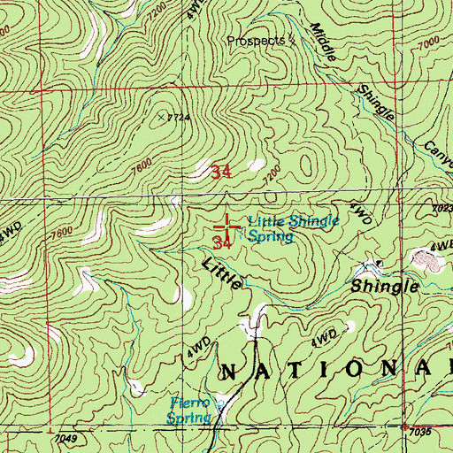 Topographic Map of Little Shingle Spring, NM